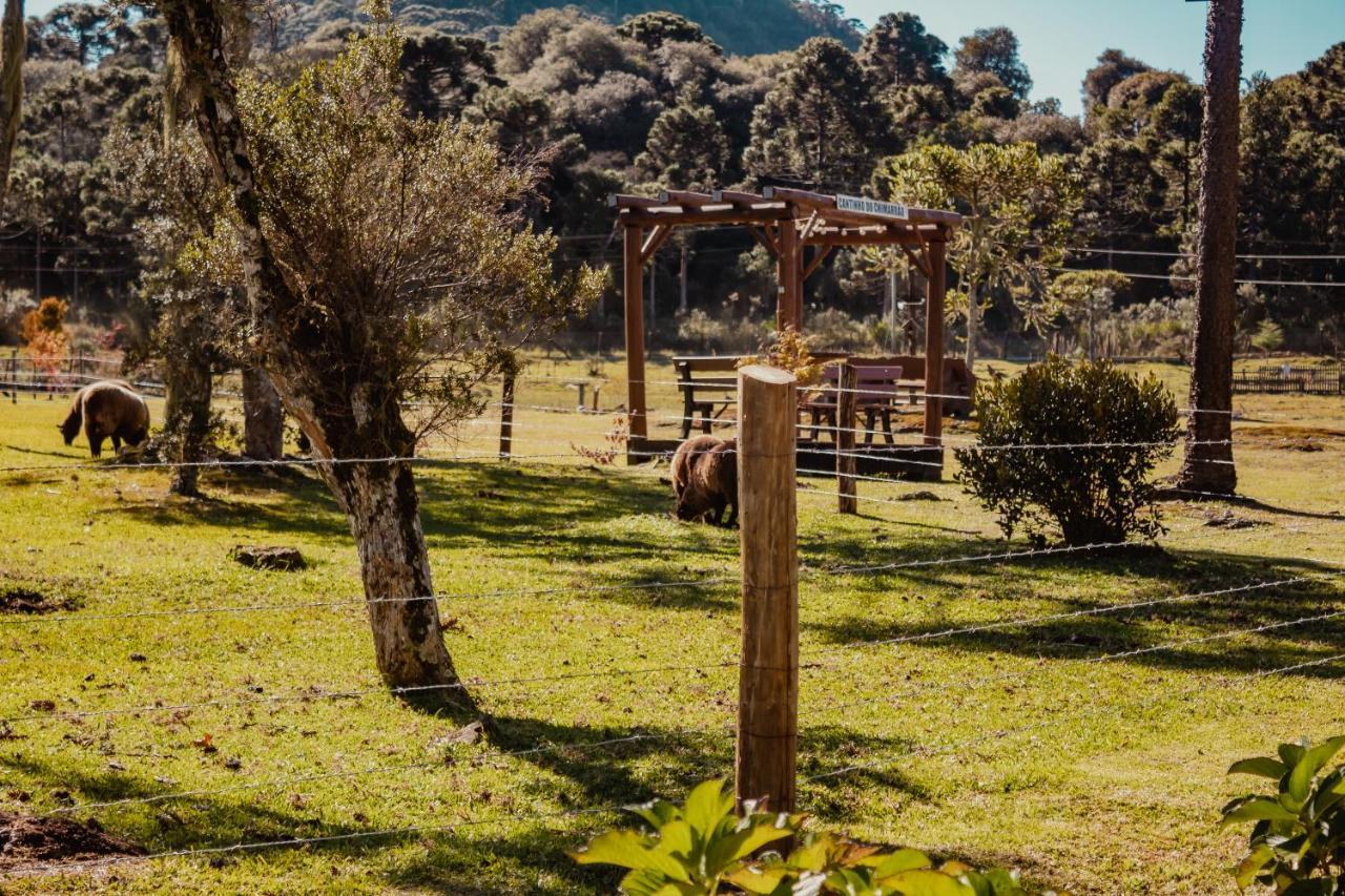 Pousada Lago Da Colina Urubici Dış mekan fotoğraf