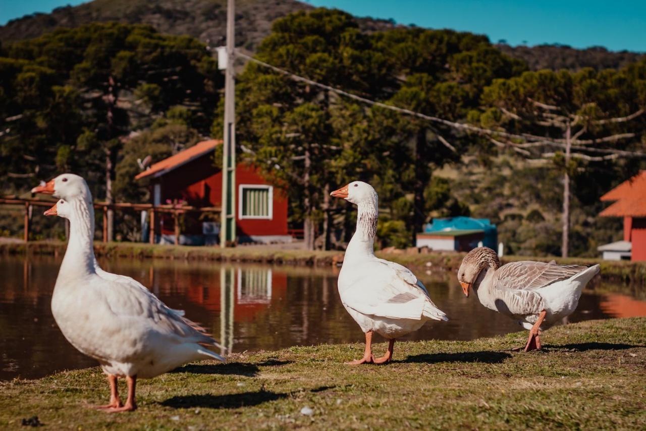 Pousada Lago Da Colina Urubici Dış mekan fotoğraf